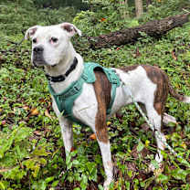 Thumbnail photo of Quinne #2