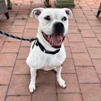 Thumbnail photo of Quinne #3