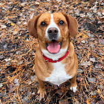 Thumbnail photo of Mercedes  #4