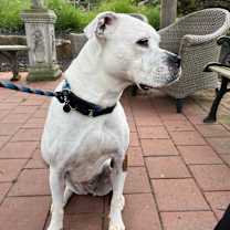 Thumbnail photo of Quinne #4