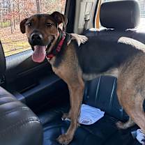 Thumbnail photo of CocoMellon #3