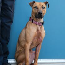 Thumbnail photo of Jubilee #2