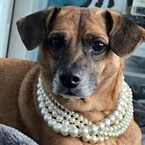 Thumbnail photo of Isabelle #3