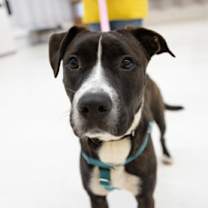 Thumbnail photo of Turkey #1