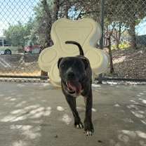 Thumbnail photo of Mama #2