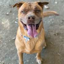 Thumbnail photo of MUFFIN #2