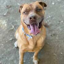 Thumbnail photo of MUFFIN #3