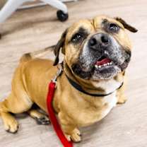 Thumbnail photo of Unc #1