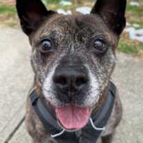 Thumbnail photo of Keefe #1