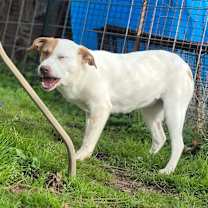 Thumbnail photo of Madison #2