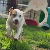 Thumbnail photo of Madison #3