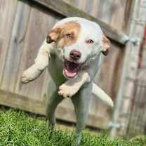 Thumbnail photo of Madison #4