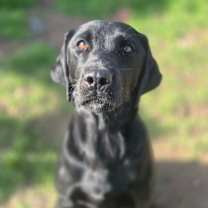 Thumbnail photo of Libby #1