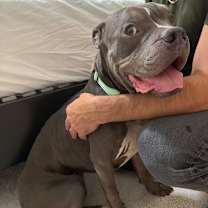 Thumbnail photo of Emmett  #1