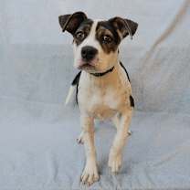 Thumbnail photo of FRIDA #2