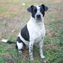 Thumbnail photo of Emma #1