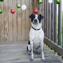 Thumbnail photo of Emma #4