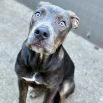 Thumbnail photo of Nutty Buddy #4