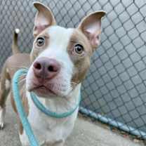 Thumbnail photo of Didi #2