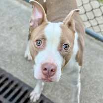 Thumbnail photo of Didi #4