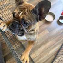 Thumbnail photo of Montly #4