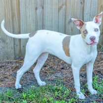 Thumbnail photo of Addy #1