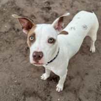 Thumbnail photo of Addy #2