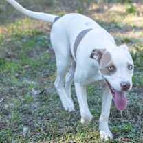 Thumbnail photo of Addy #3