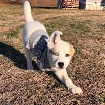 Thumbnail photo of Sally #2