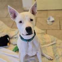 Thumbnail photo of Tracie #1