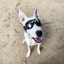 Thumbnail photo of Tracie #3