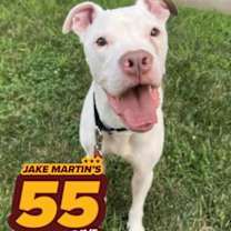 Thumbnail photo of Lima Bean #1