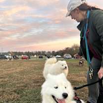 Thumbnail photo of Tofu #2