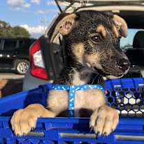 Thumbnail photo of Nick #4