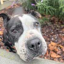 Thumbnail photo of Jewel #1