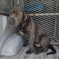 Thumbnail photo of Marlo Romo #2