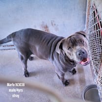 Thumbnail photo of Marlo Romo #3