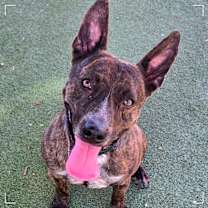 Thumbnail photo of Radar #1