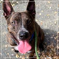 Thumbnail photo of Radar #4