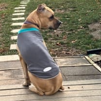 Thumbnail photo of Trix #3