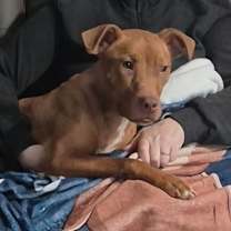 Thumbnail photo of Aiyana #3