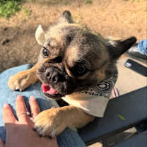 Thumbnail photo of Stormy #2