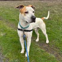 Thumbnail photo of Sammich (mcas) #1