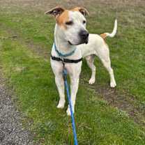 Thumbnail photo of Sammich (mcas) #2