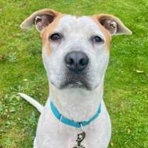 Thumbnail photo of Sammich (mcas) #3