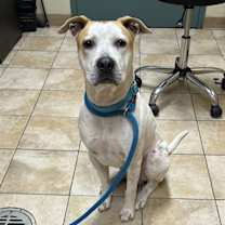 Thumbnail photo of Sammich (mcas) #4