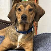 Thumbnail photo of Spunky~meet me! #1