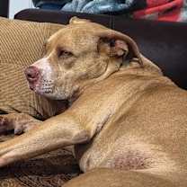 Thumbnail photo of Jazzmin #1