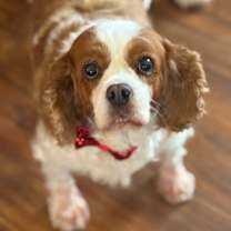 Thumbnail photo of Paris #1