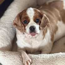 Thumbnail photo of Paris #2